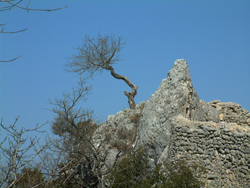 Luberon