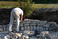 Herisson en Pierre seche