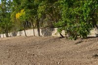 mur en Pierres seches Verdon