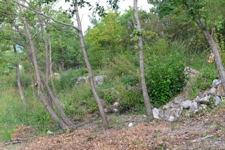 mur en pierres sèches